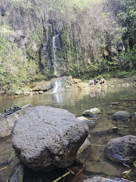 קובץ:2025-04-04T14 34 15.384415295146.jpg