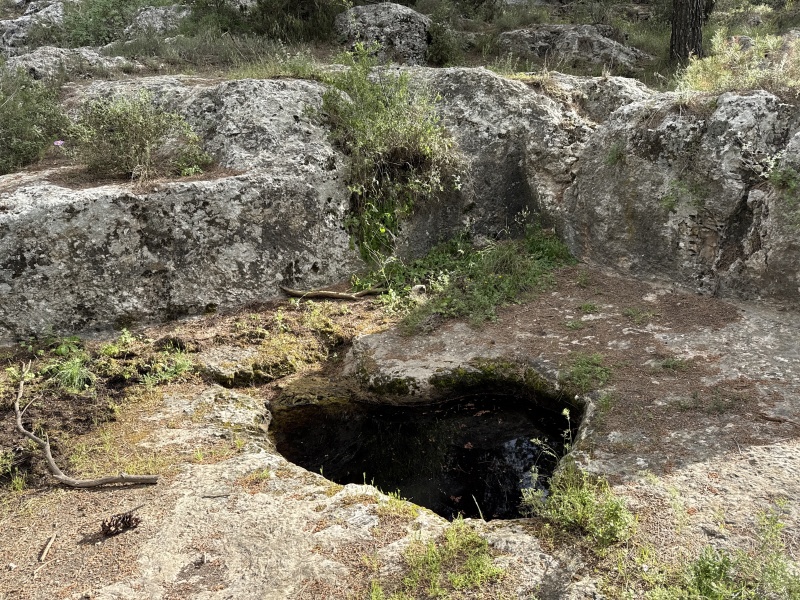 קובץ:2025-04-04T16 45 38.418800681662.jpg