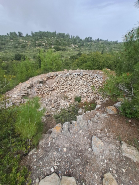 קובץ:2025-04-06T13 37 17.573739480500.jpg