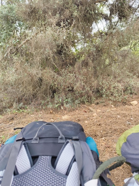 קובץ:2025-04-07T11 07 15.037689438198.jpg