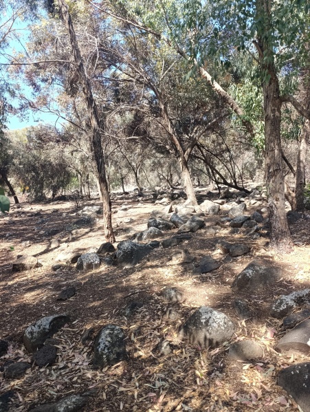קובץ:2025-04-10T09 45 51.571174920871.jpg