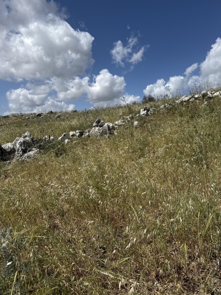 קובץ:2025-04-10T11 06 53.713946324510.jpg