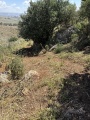 תמונה ממוזערת לגרסה מתאריך 09:07, 10 באפריל 2025