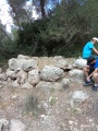 תמונה ממוזערת לגרסה מתאריך 08:36, 10 באפריל 2025