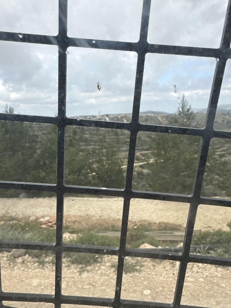 קובץ:2025-04-11T10 03 14.163727541296.jpg