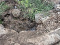 תמונה ממוזערת לגרסה מתאריך 09:30, 11 באפריל 2025