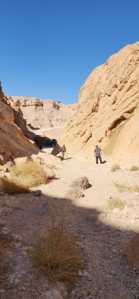 קובץ:2025-04-12T15 34 37.749819667408.jpg