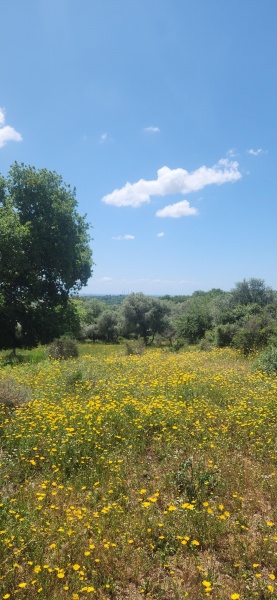 קובץ:2025-04-13T13 16 37.407638961934.jpg