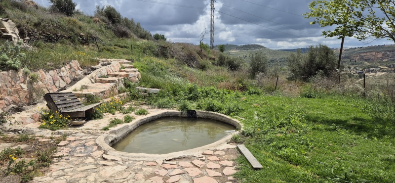 קובץ:2025-04-14T13 12 16.753353809446.jpg