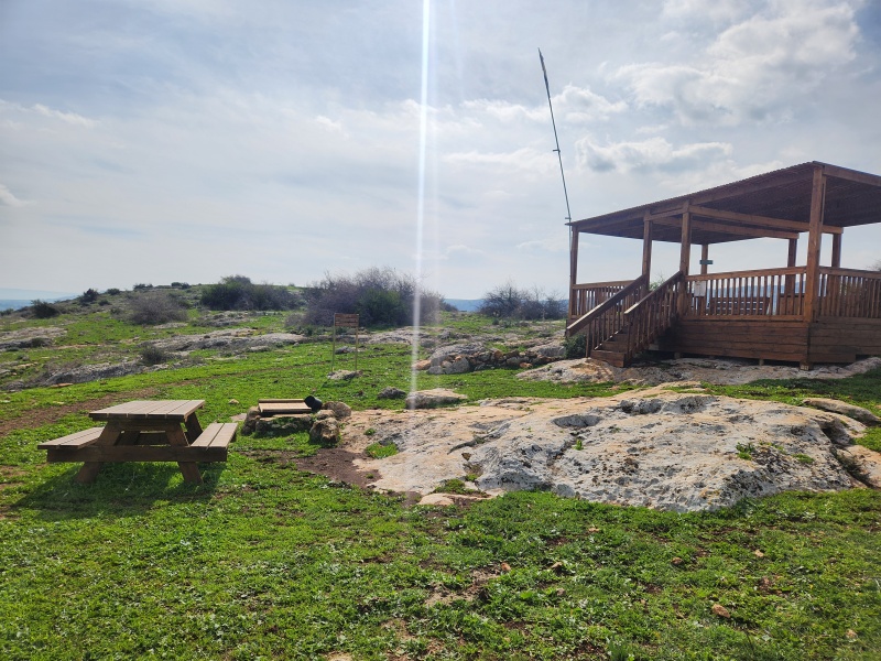 קובץ:2025-04-14T14 49 48.876525780086.jpg