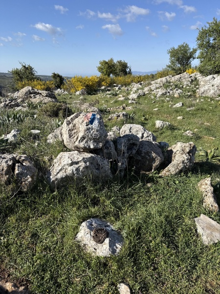 קובץ:2025-04-15T08 29 54.080060120635.jpg