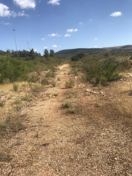 קובץ:2025-04-15T09 23 47.976481733650.jpg