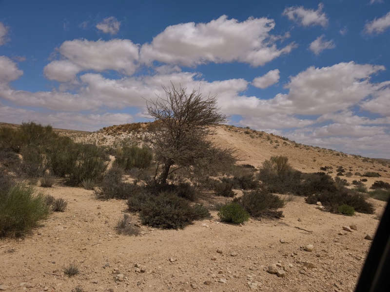 קובץ:2025-04-15T11 39 37.266999311226.jpg
