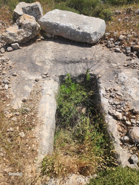 קובץ:2025-04-15T12 20 36.00370823780.jpg