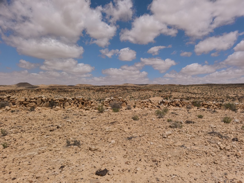 קובץ:2025-04-15T12 22 49.556762119685.jpg