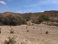 תמונה ממוזערת לגרסה מתאריך 08:56, 21 באפריל 2025