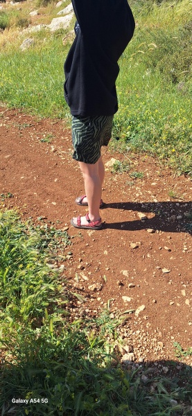 קובץ:2025-04-15T15 36 12.926520690491.jpg