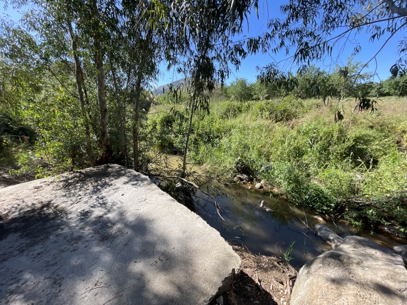 קובץ:2025-04-15T15 39 23.842878900889.jpg