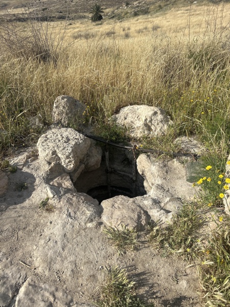 קובץ:2025-04-15T16 53 58.456738362883.jpg