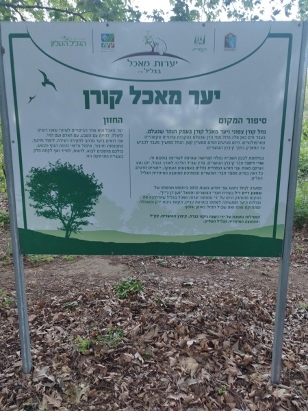 קובץ:2025-04-15T18 38 43.163358513914.jpg