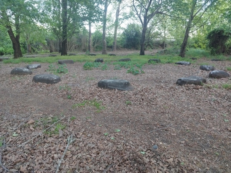 קובץ:2025-04-15T18 39 14.417549254039.jpg