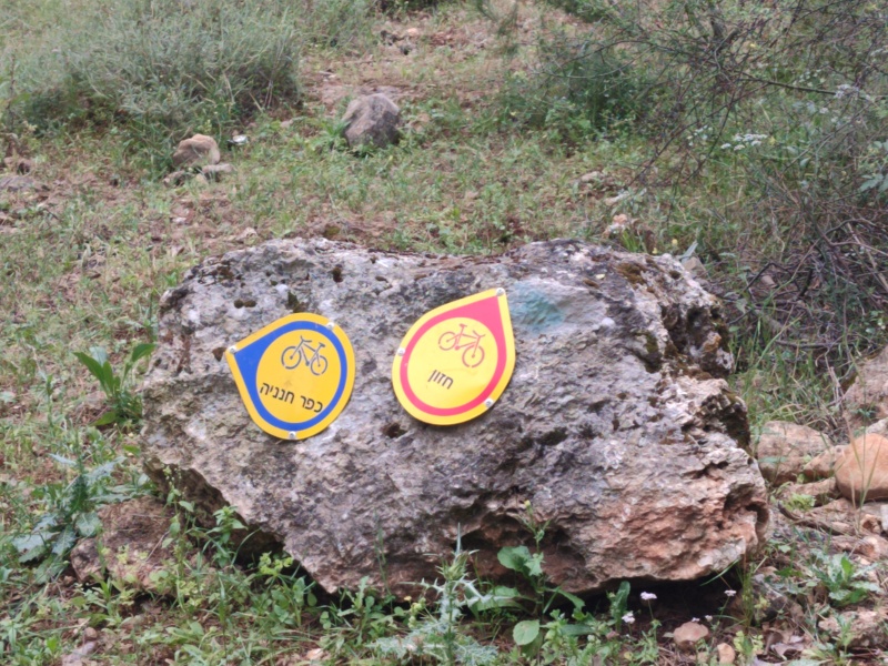 קובץ:2025-04-16T10 27 31.86453073295.jpg