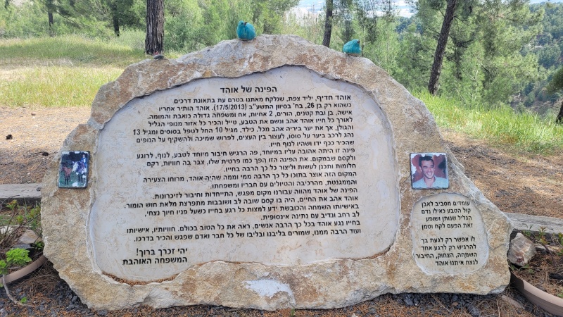 קובץ:2025-04-16T11 18 01.770490635128.jpg