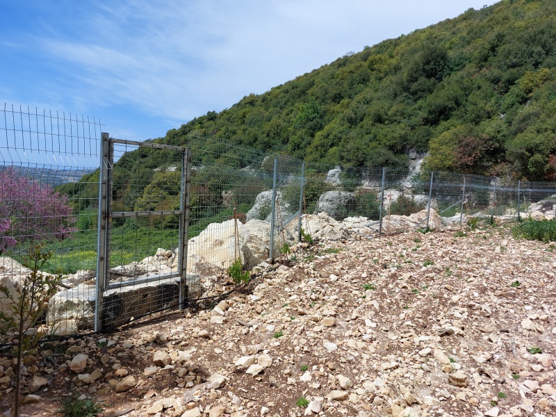קובץ:2025-04-16T12 39 08.089663175704.jpg