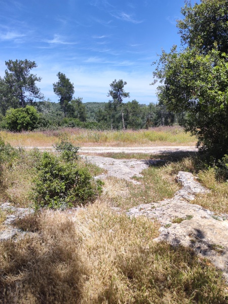 קובץ:2025-04-16T13 09 19.7058919196.jpg