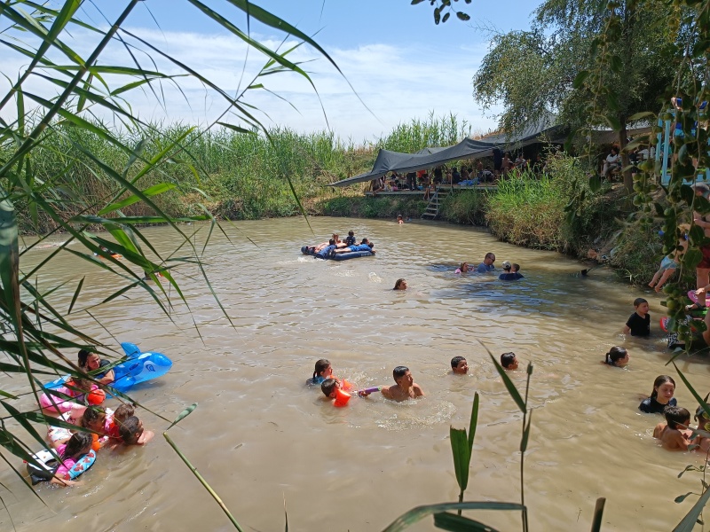 קובץ:2025-04-16T13 23 15.947177820973.jpg