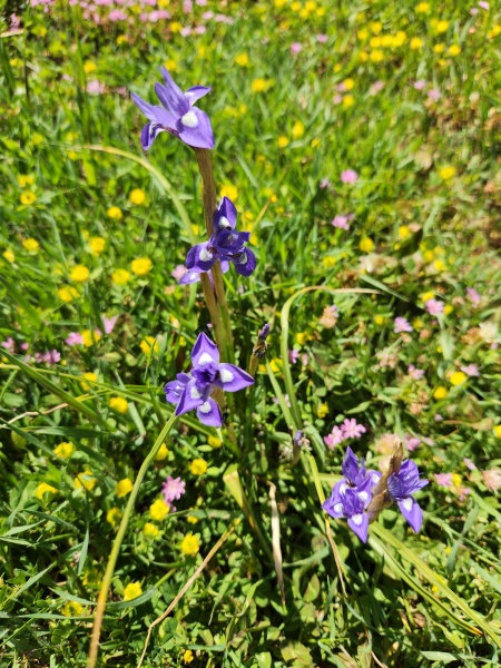 קובץ:2025-04-16T14 13 56.71257653149.jpg