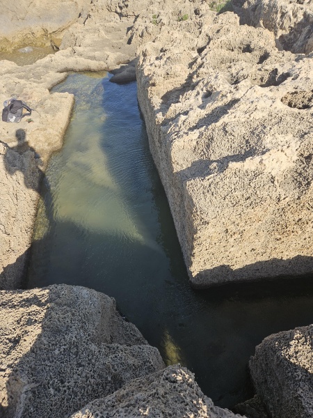 קובץ:2025-04-16T16 47 36.44083282168.jpg