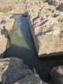תמונה ממוזערת לגרסה מתאריך 15:11, 20 באפריל 2025