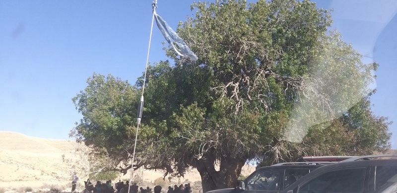 קובץ:2025-04-16T16 50 03.916505256879.jpg