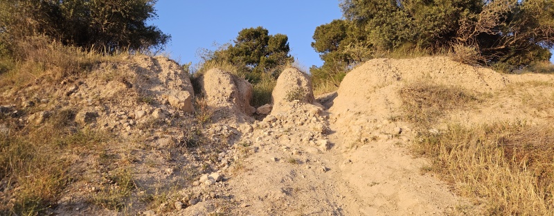 קובץ:2025-04-16T18 44 02.127014688275.jpg
