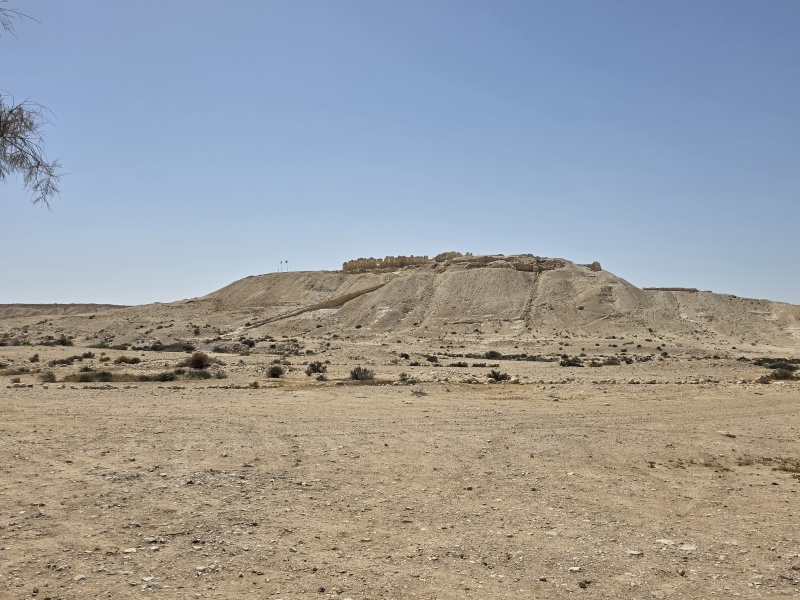קובץ:2025-04-17T02 50 31.950320316167.jpg