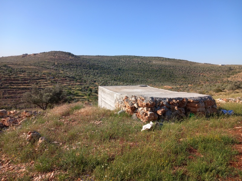 קובץ:2025-04-17T08 24 00.380472859697.jpg