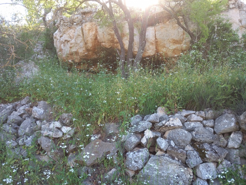 קובץ:2025-04-17T08 46 14.28808329956.jpg