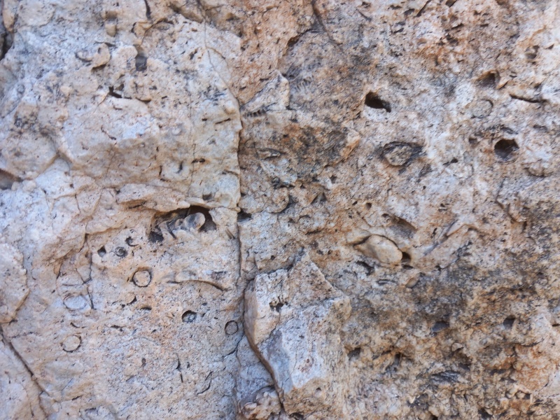 קובץ:2025-04-17T08 51 34.207359908820.jpg