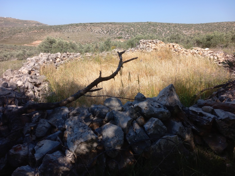 קובץ:2025-04-17T09 26 07.210706814570.jpg