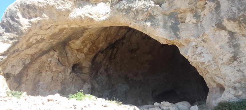 קובץ:2025-04-17T09 38 16.943148142155.jpg