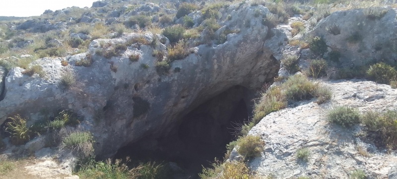 קובץ:2025-04-17T09 39 19.304305319091.jpg