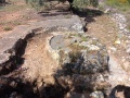 תמונה ממוזערת לגרסה מתאריך 09:38, 17 באפריל 2025