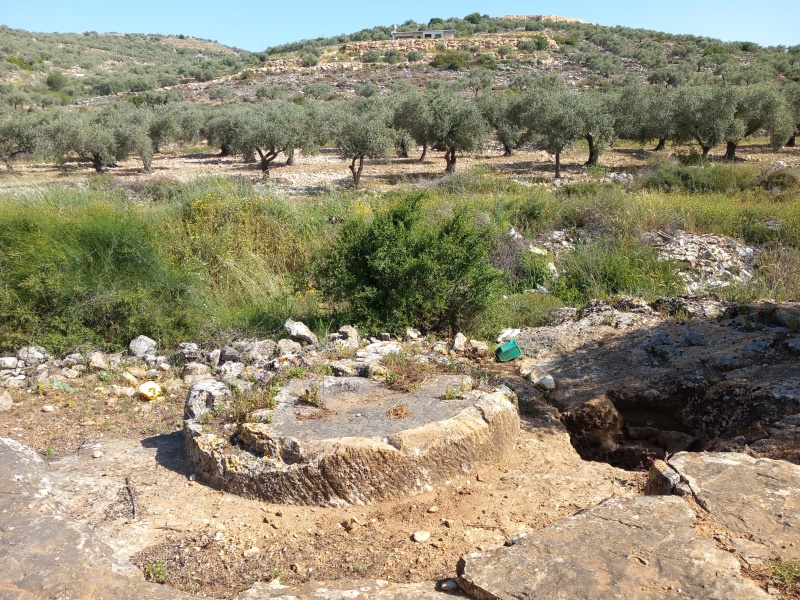 קובץ:2025-04-17T09 42 03.140391213243.jpg