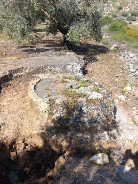 קובץ:2025-04-17T09 42 58.714788781960.jpg