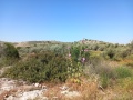 תמונה ממוזערת לגרסה מתאריך 10:57, 17 באפריל 2025