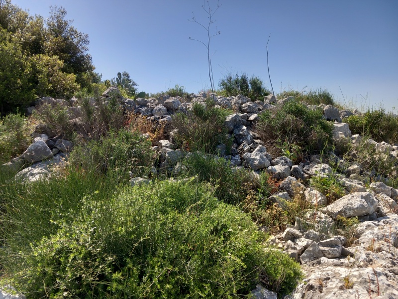 קובץ:2025-04-17T10 15 14.1898854070.jpg