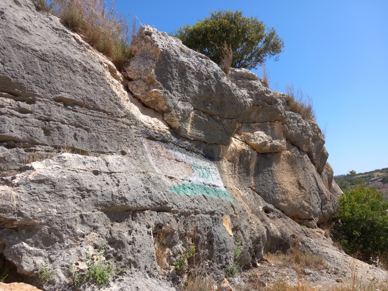 קובץ:2025-04-17T10 34 18.49762269657.jpg