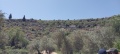 תמונה ממוזערת לגרסה מתאריך 11:14, 17 באפריל 2025