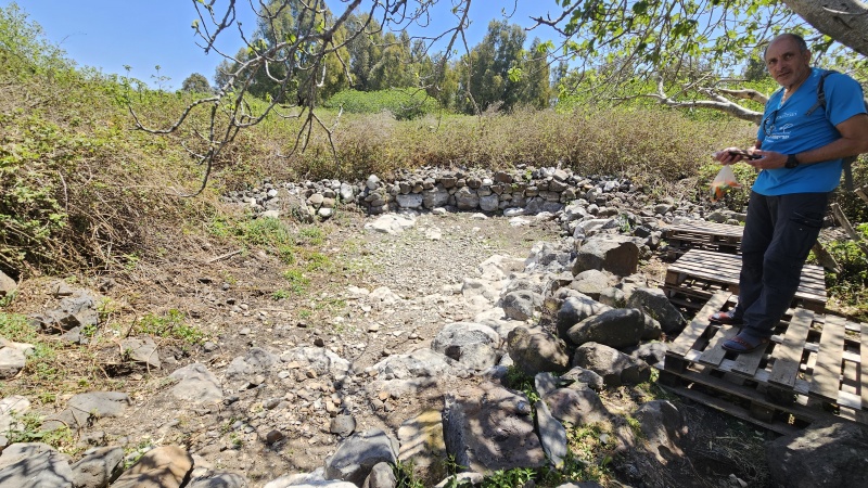 קובץ:2025-04-17T11 53 28.208433363523.jpg